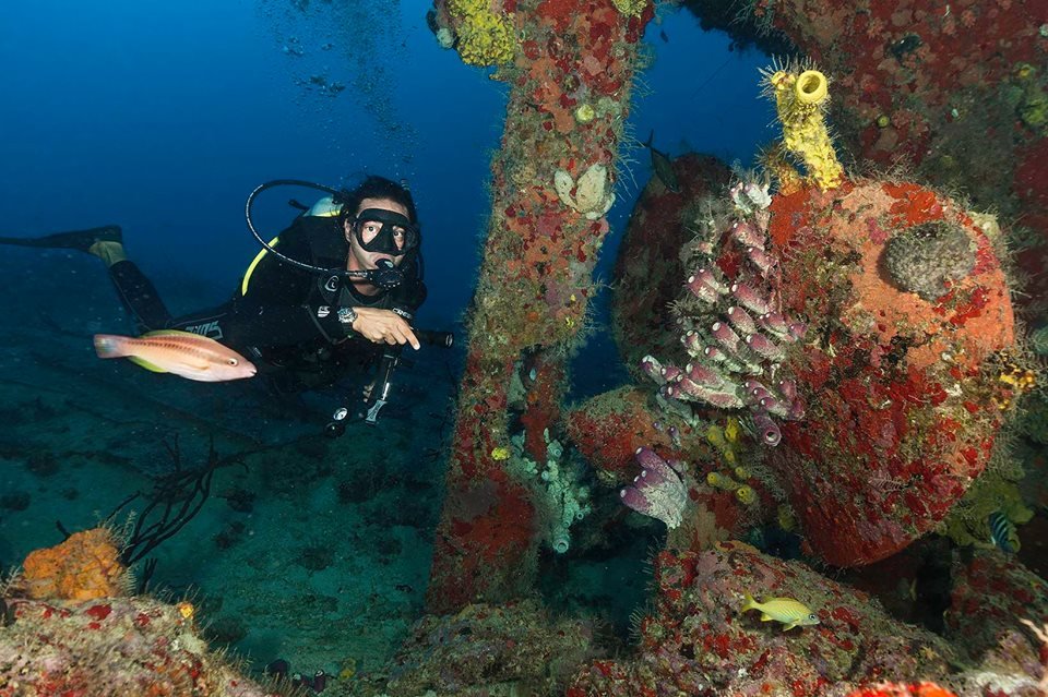 Scuba Diving Di Laut Merah