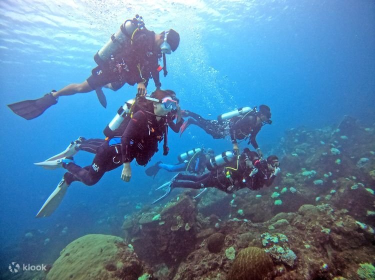 Kursus Menyelam untuk Pemula di Perairan Mesir